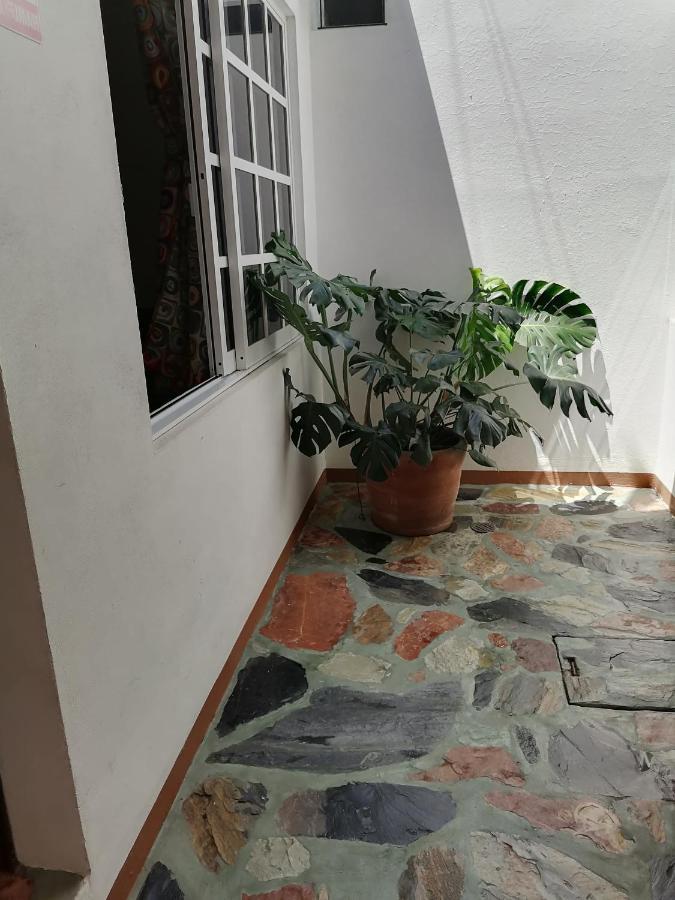 埃斯孔迪多港Casa Lomas Del Marinero Internet Starlink Sin Garaje公寓 外观 照片